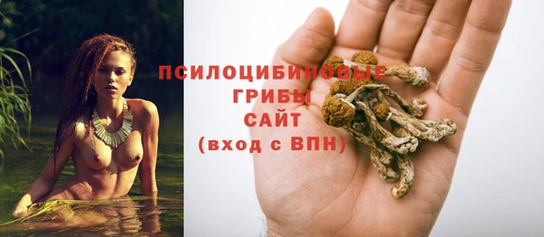 соль ск Остров